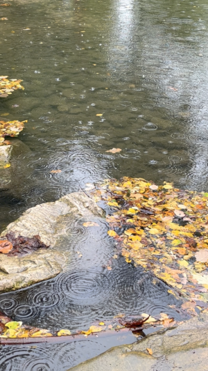 lac-sous-pluie